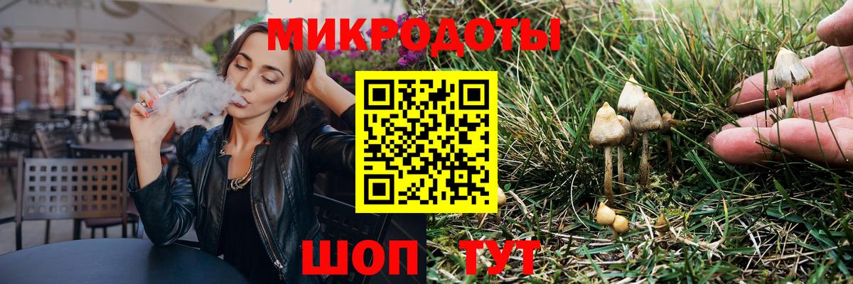 Строитель  Галлюциногенные грибы MAGIC MUSHROOMS  Псилоцибиновые грибы мухоморы  Вход с VPN 