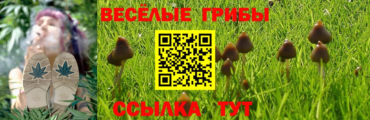 Псилоцибиновые грибы Magic Shrooms Строитель